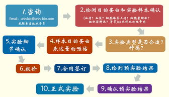 優寧維公司重磅推出抗體相關實驗技術服務體系，助力科研精準高效