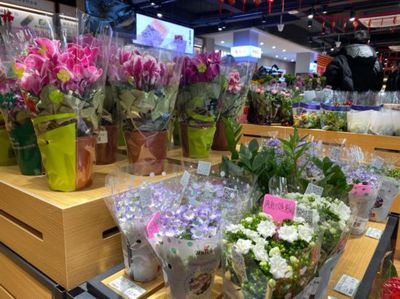 社區生鮮店 不賣雞蛋不燒錢，如何用非傳統策略贏得社區青睞？